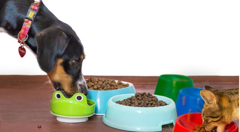 Novo mercado: Japão vai comprar ‘pet food’ produzida no Brasil