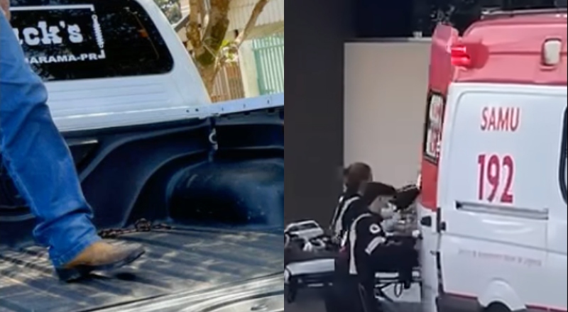 Inacreditável o que aconteceu com idoso que tentava cortar árvore; veja vídeo