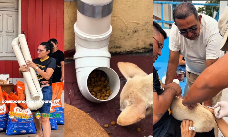 Prefeito Emerson Melo e Grupo Proteger fortalecem cuidado aos cães e gatos com comedouros e vacinas em Beruri; veja vídeo