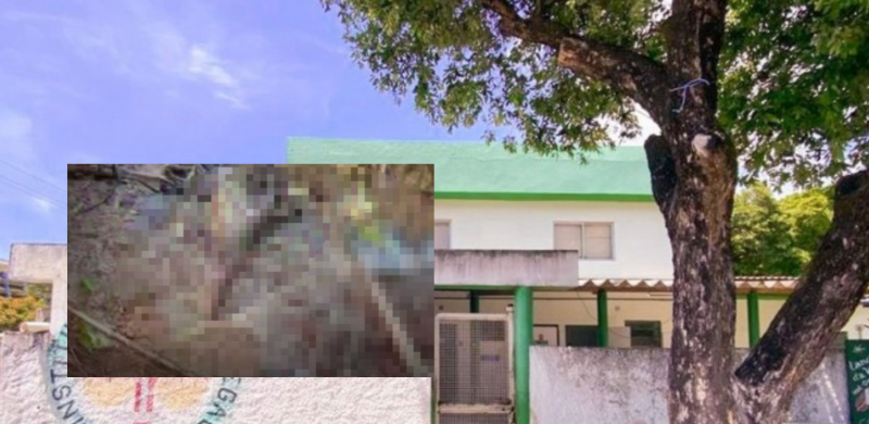 Corpo de homem sem cabeça é encontrado em terreno de fábrica; veja foto