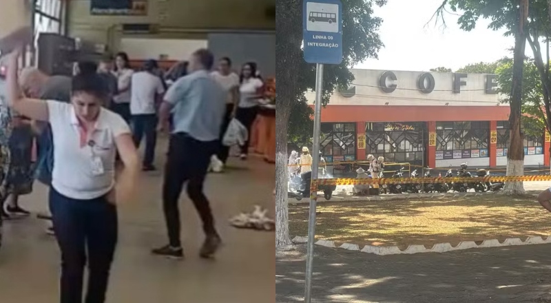 Idoso morre durante ataque de abelhas enquanto comprava bolo para comemorar aniversário; veja vídeo