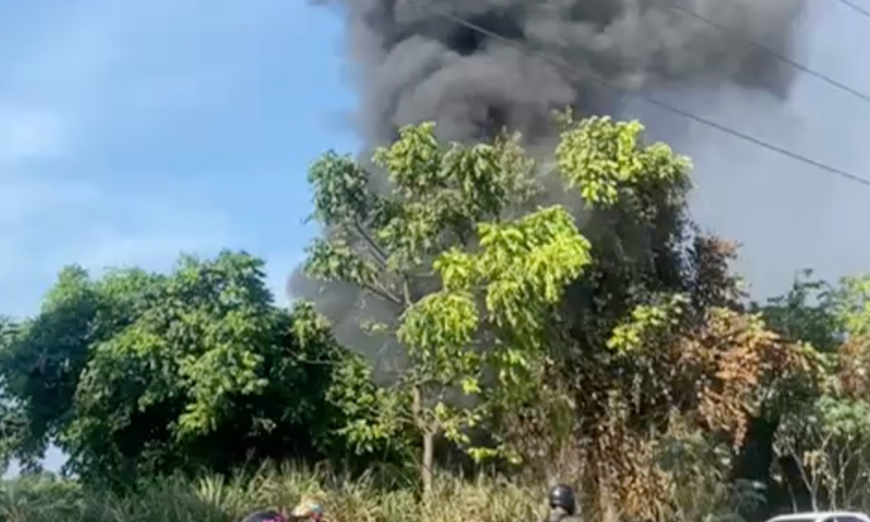 Incêndio atinge área de mata no Distrito Industrial; veja vídeo