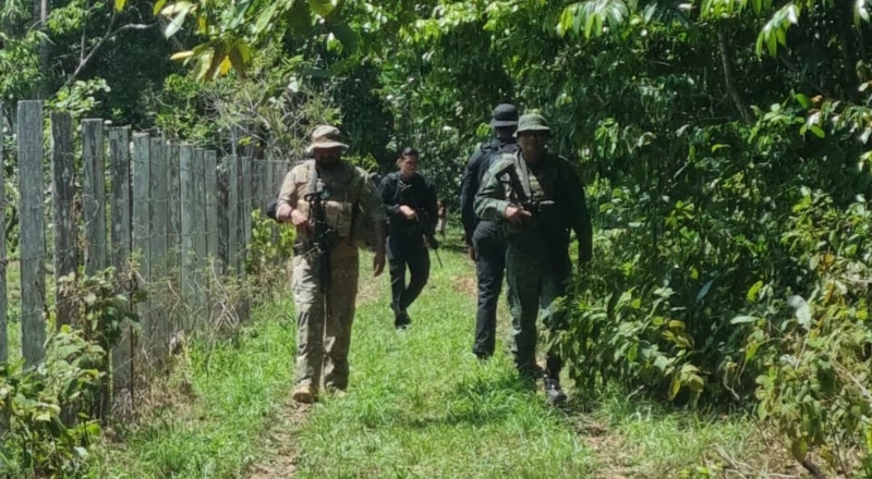 Operação Ybirá: nove pessoas são indiciadas por crimes ambientais e associação criminosa no bairro Tarumã