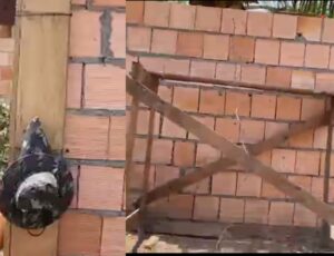 Trabalhador sofre acidente gravíssimo com máquina de serra mármore em Autazes; veja vídeo