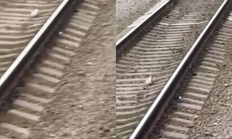 Jovem distraída cai em trilhos de trem e o pior acontece; veja vídeo