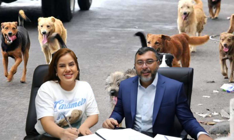 Exclusivo: governo Wilson Lima vai gastar R$ 43,2 milhões em contrato sem transparência da SEPET