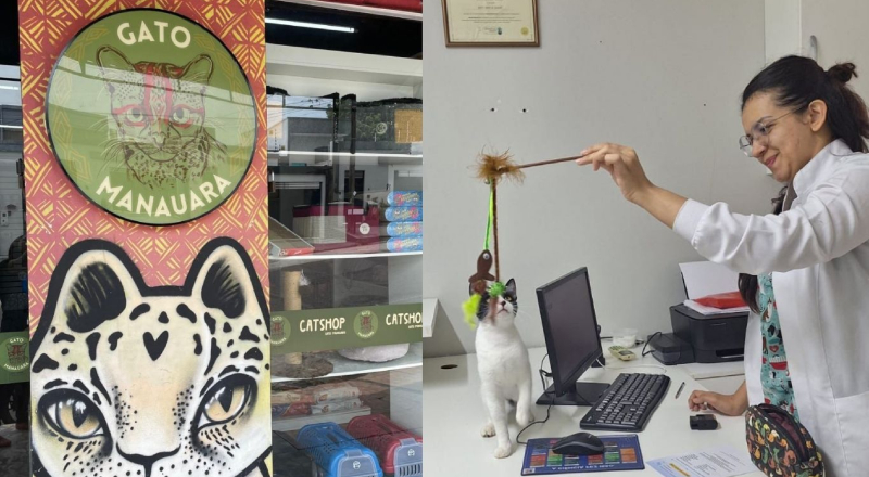 Gato Manauara: A Solução Definitiva para Gateiros de Manaus