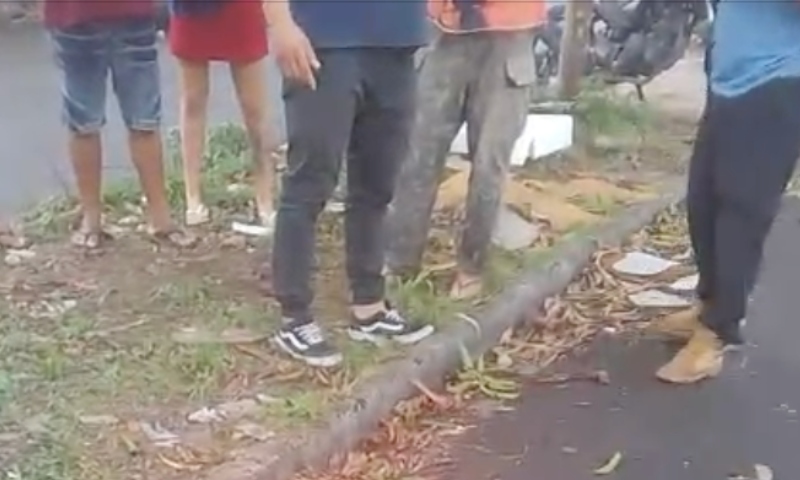 Urgente: homem fica em estado grave após cair de mangueira na zona Norte de Manaus; veja vídeos