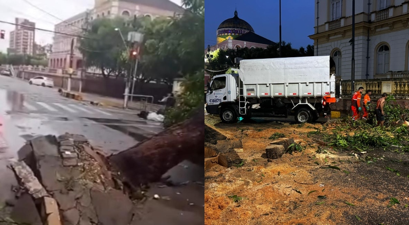 Temporal derruba árvore e destrói carro no Centro de Manaus; veja vídeo