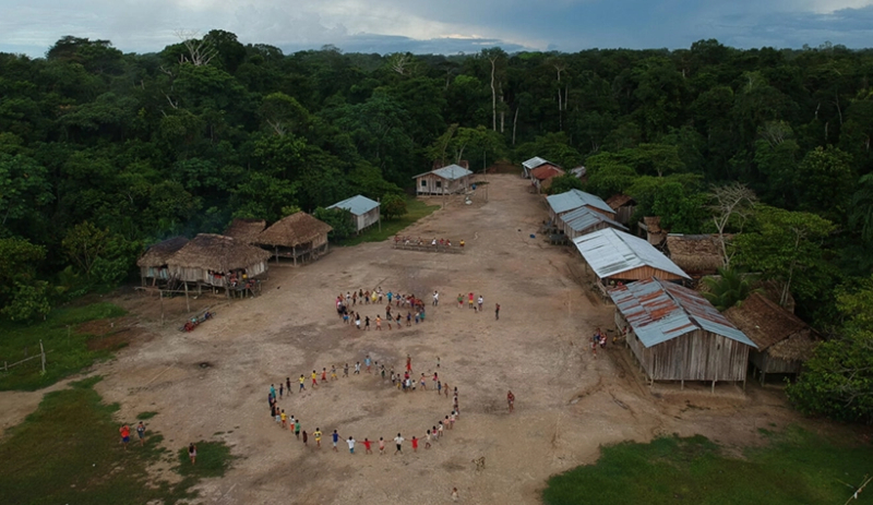 Escândalo ambiental no Amazonas: projeto de crédito de carbono ignora direitos de povos indígenas e tradicionais