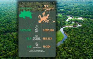 Brasil deve cobrar na COP 30 o preço justo pela preservação da Amazônia; veja vídeo
