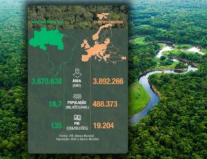 Brasil deve cobrar na COP 30 o preço justo pela preservação da Amazônia; veja vídeo
