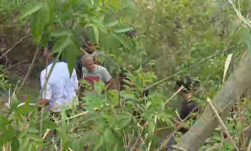 Moradores entram na mata e acham corpos após tiroteio no Complexo da Penha; veja vídeo