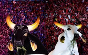 Ingressos para o Festival de Parintins 2026 vão de R$ 500 a R$ 4.800; vendas começam na sexta (7)