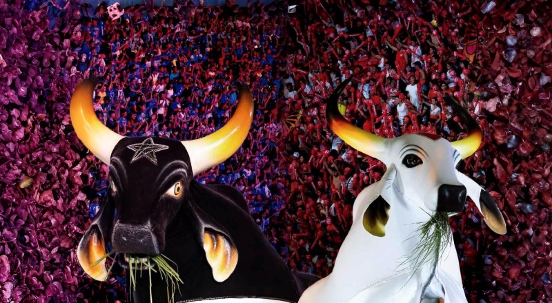 Ingressos para o Festival de Parintins 2026 vão de R$ 500 a R$ 4.800; vendas começam na sexta (7)