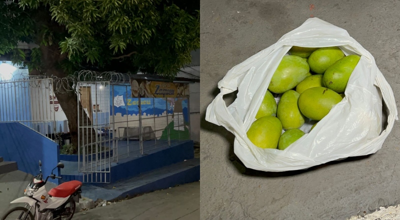 Homem fica em estado gravíssimo após cair de mangueira no bairro São Francisco; veja vídeos