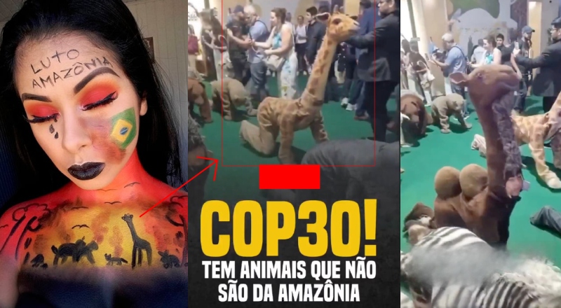 Atores se vestindo de animais e rastejando na COP30 viram piada mundial; veja vídeo
