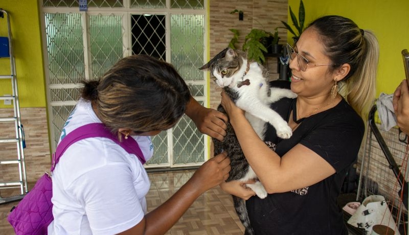 Campanha antirrábica já imunizou 125 mil animais e segue com vacinação em domicílio e 39 postos fixos
