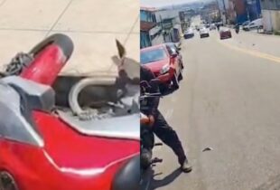 "Acidente feio de moto": homem quase perde a perna no Conjunto Ajuricaba, em Manaus; veja vídeo