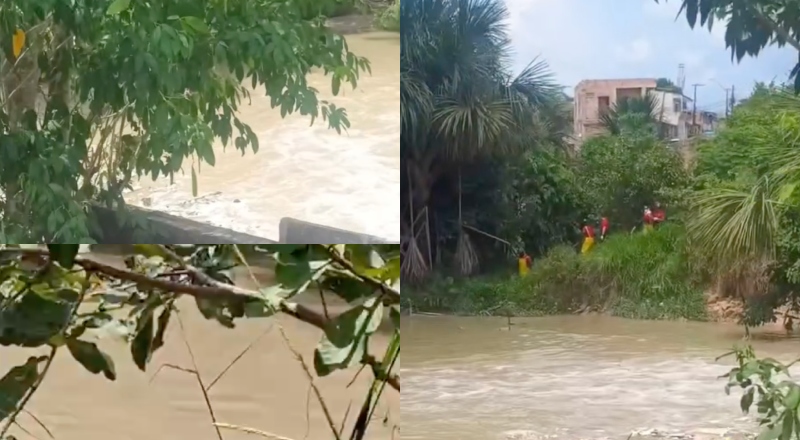 Urgente: cadáver é encontrado em igarapé no bairro Nova Cidade; veja vídeo