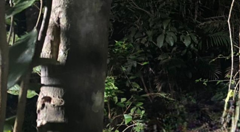 Homem é executado pelo tribunal do crime e tem corpo desovado no Colônia Santo Antônio; veja