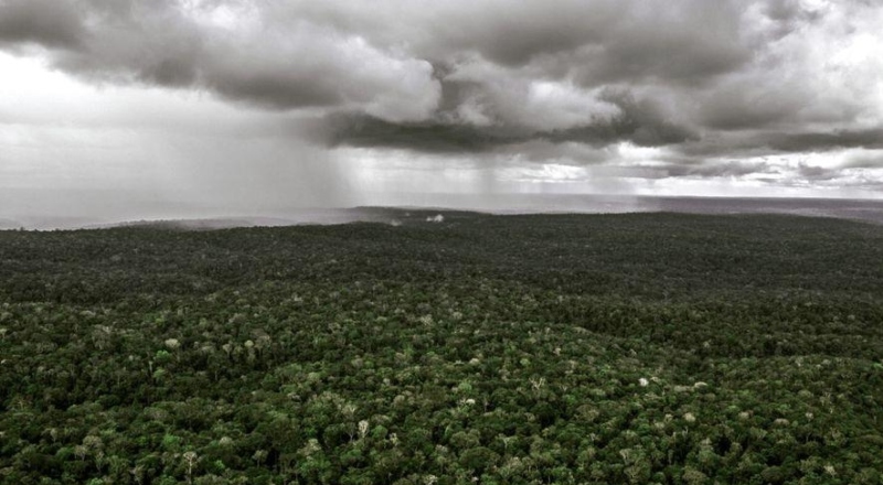 Alerta máximo: tempestade com ventos extremos atinge regiões do Amazonas neste domingo (16)