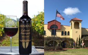 Vinícola na Flórida vira atração turística com entrada gratuita e degustações por apenas US$ 5