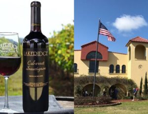 Vinícola na Flórida vira atração turística com entrada gratuita e degustações por apenas US$ 5