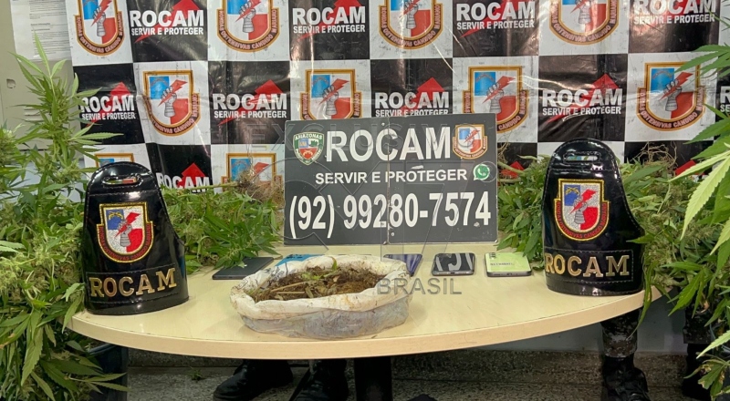 Polícia descobre plantação de maconha em chácara no bairro Tarumã; veja vídeo