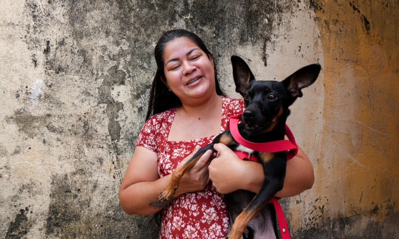 Prefeitura prossegue com vacinação de cães e gatos contra raiva em domicílio e em 46 pontos fixos