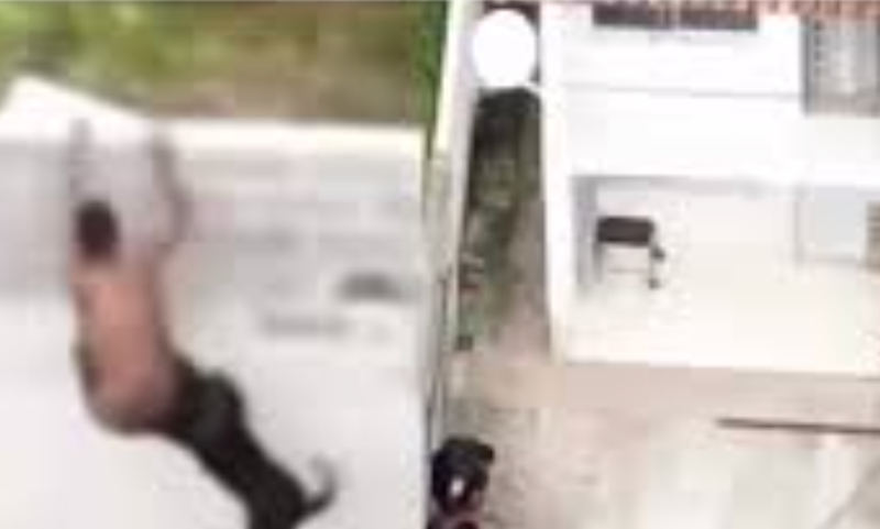 Traficante pula muro para escapar da PM e dá de cara com pitbull; veja vídeo