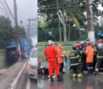 Urgente: bombeiros resgatam motorista de caminhão preso às ferragens no V8; veja vídeo