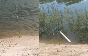 Urgente: corpo de um homem é encontrado boiando na Praia Dourada do Tarumã; veja vídeoa