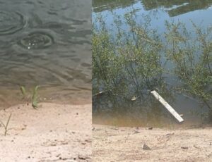 Urgente: corpo de um homem é encontrado boiando na Praia Dourada do Tarumã; veja vídeoa