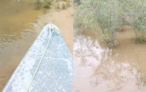 Urgente: moradores encontram outro corpo esquartejado boiando no Tarumã Açu; veja vídeo