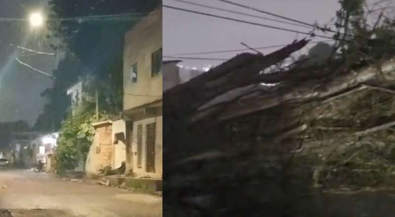 Urgente: árvores caem sobre casas durante forte temporal em Manaus; veja vídeos