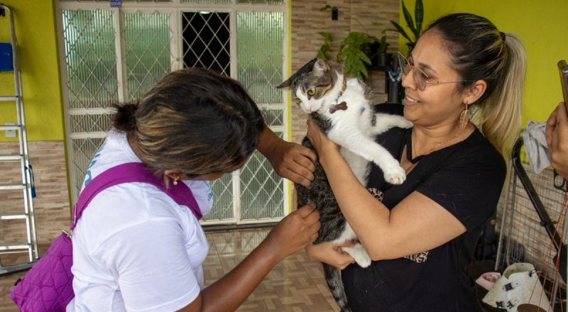 Campanha da Prefeitura de Manaus já imunizou mais de 193 mil cães e gatos contra raiva
