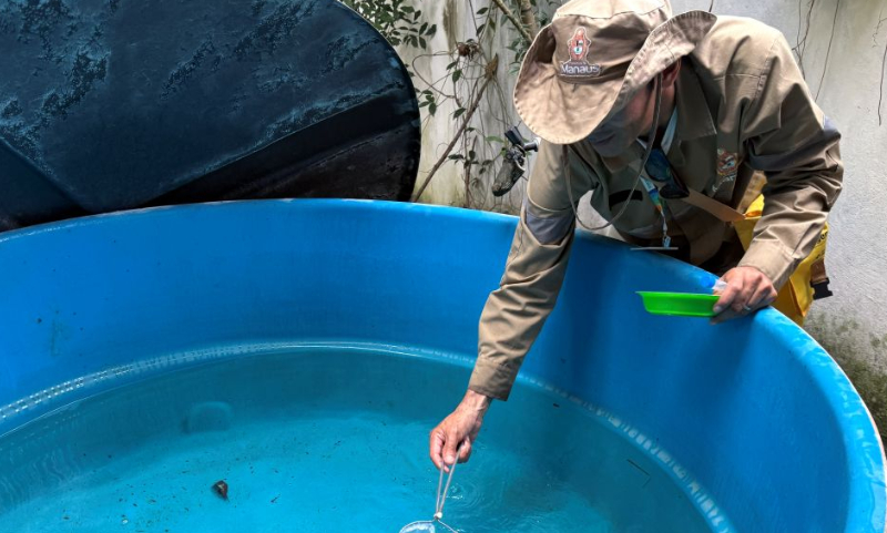 Alerta: seis bairros de Manaus têm alto risco de infestação da dengue