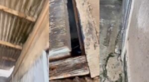 “Não me mata, eu te amo”: mulher implorou pela vida antes de ser morta dentro de casa; veja vídeo