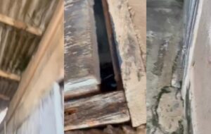 "Não me mata, eu te amo": mulher implorou pela vida antes de ser morta dentro de casa; veja vídeo