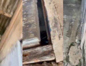 "Não me mata, eu te amo": mulher implorou pela vida antes de ser morta dentro de casa; veja vídeo