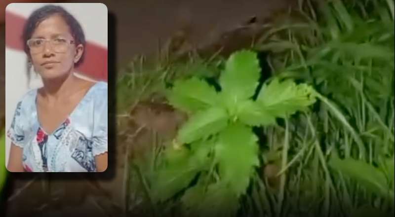 Mulher conhecida como ‘Formiga’ é encontrada morta em Presidente Figueiredo; veja vídeo