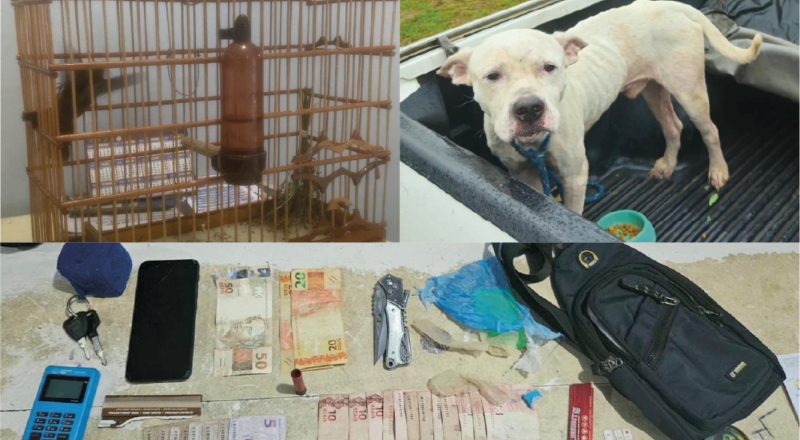 Homem é preso por tráfico de drogas e maus-tratos a animais, no AM