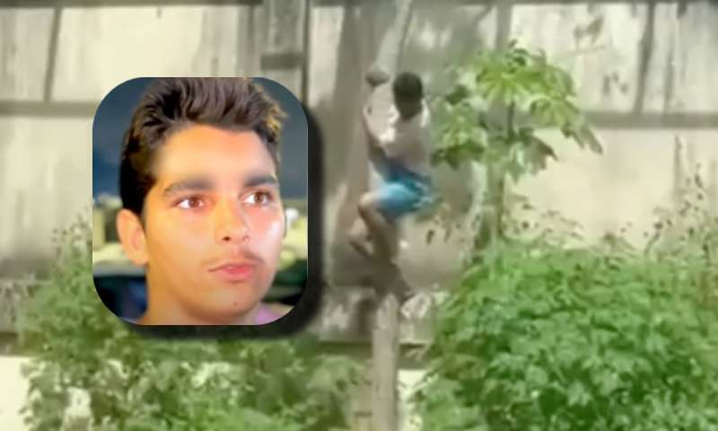 Saiba quem era ‘Vaqueirinho’, o jovem morto por leoa após invadir jaula de zoológico; veja vídeo