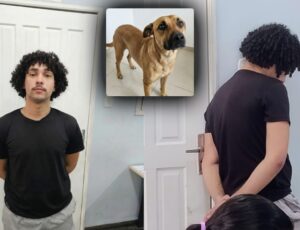 Exclusivo: jovem que abusou de cadela é preso em Manaus; veja vídeo