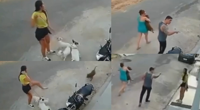 ‘Valentão’ dono de pitbull agride vizinha após cão atacar três cachorrinhos; veja vídeo