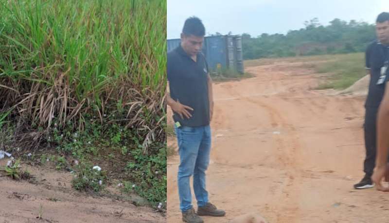 Torturado até a morte: com as mãos amarradas e saco na cabeça, jovem é executado em ramal de Manaus; veja vídeo