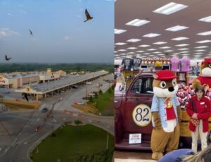 Buc-ee's: Flórida se prepara para receber o maior posto de gasolina do planeta; veja vídeo