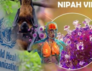 Avanço do vírus Nipah coloca a OMS em alerta máximo: '7 em cada 10 pessoas morrem'; veja vídeo