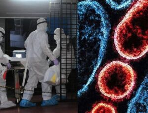 Mundo em alerta: além de matar até 75% das pessoas infectadas, vírus Nipah não tem cura